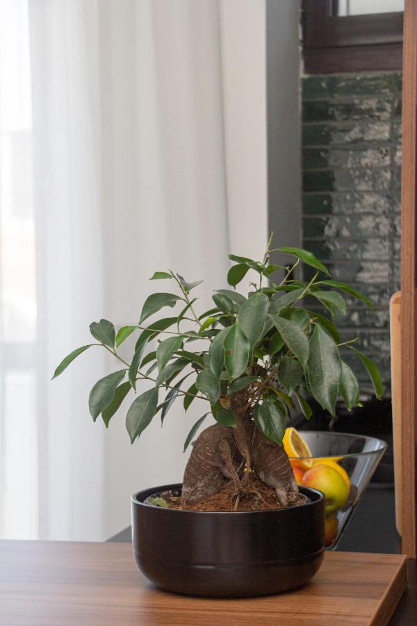 Ferienwohnung Artisan'S Dwelling Belgrad Exterior foto